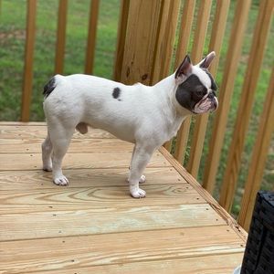 Meet your Posher, Dr. U